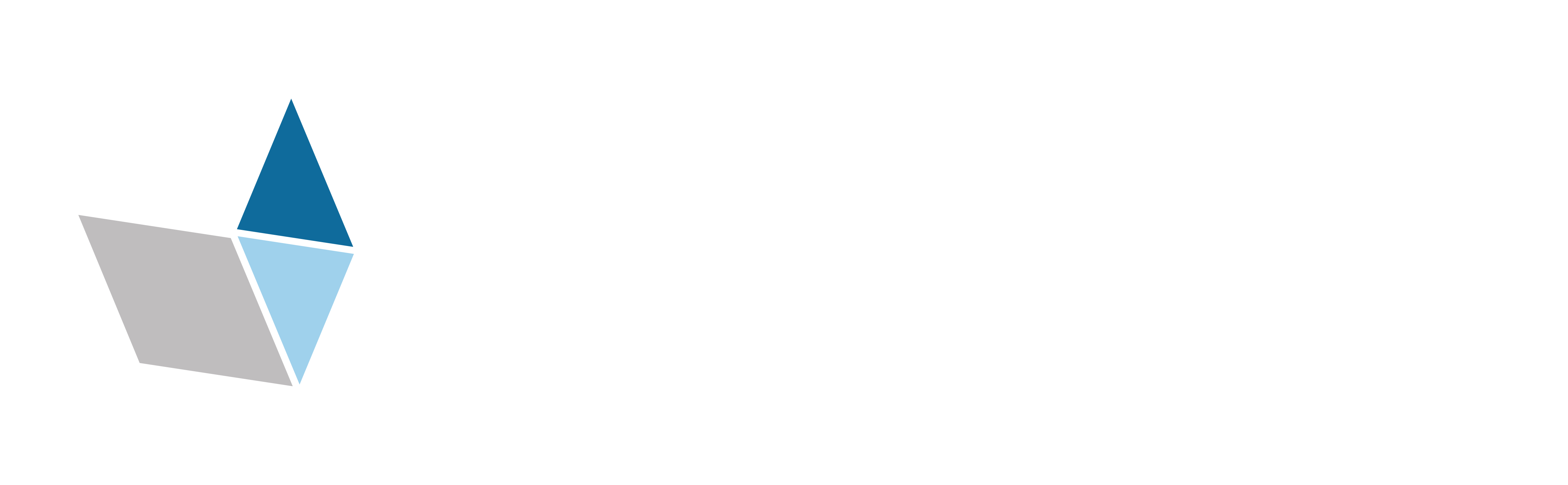 Nara_LOGO_VW_H1
