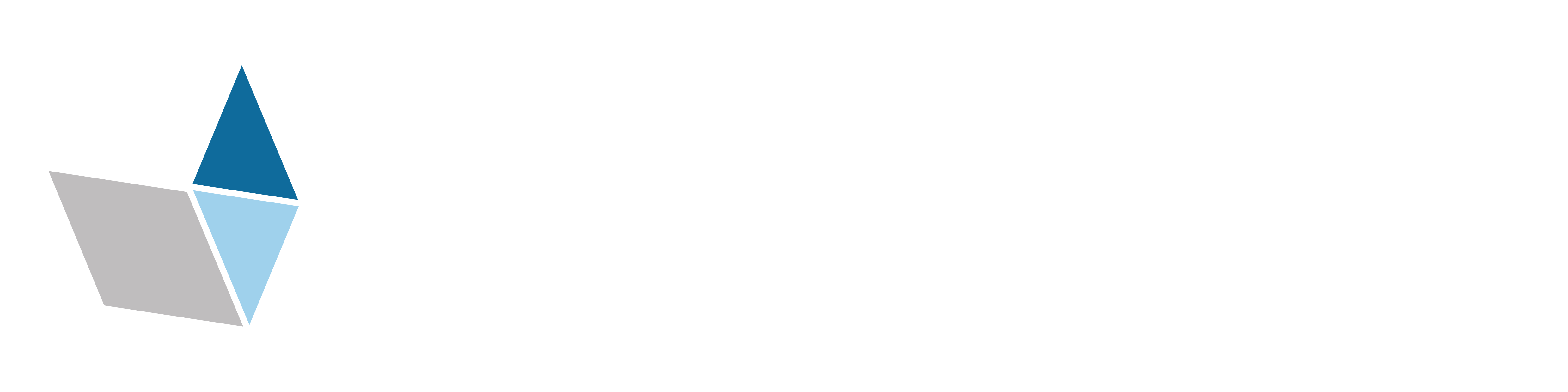 Nara_LOGO_VW_H2